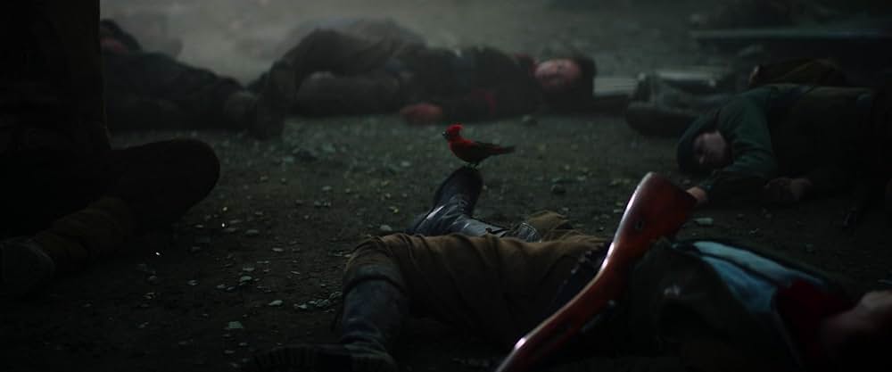 ヴァチカンのエクソシストの画像