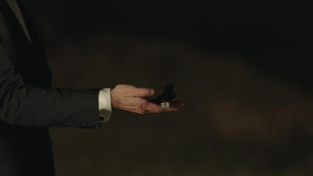 インフィニティ・プールの画像