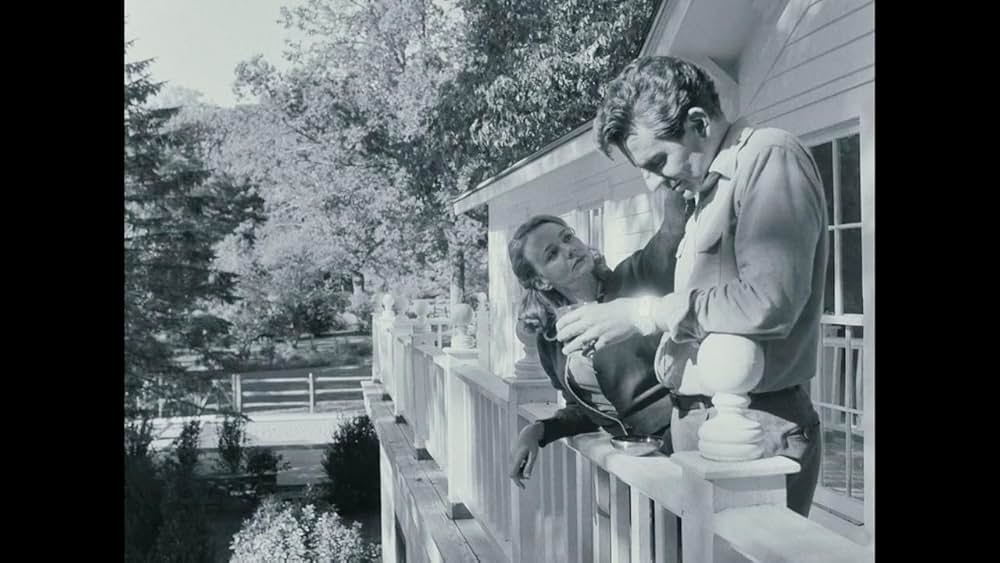 マエストロ：その音楽と愛との画像