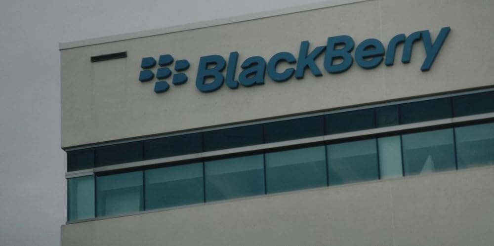 ブラックベリーの画像