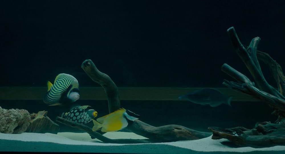 フレッチ／死体のいる迷路の画像