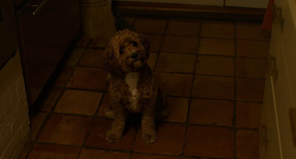 フレッチ／死体のいる迷路の画像