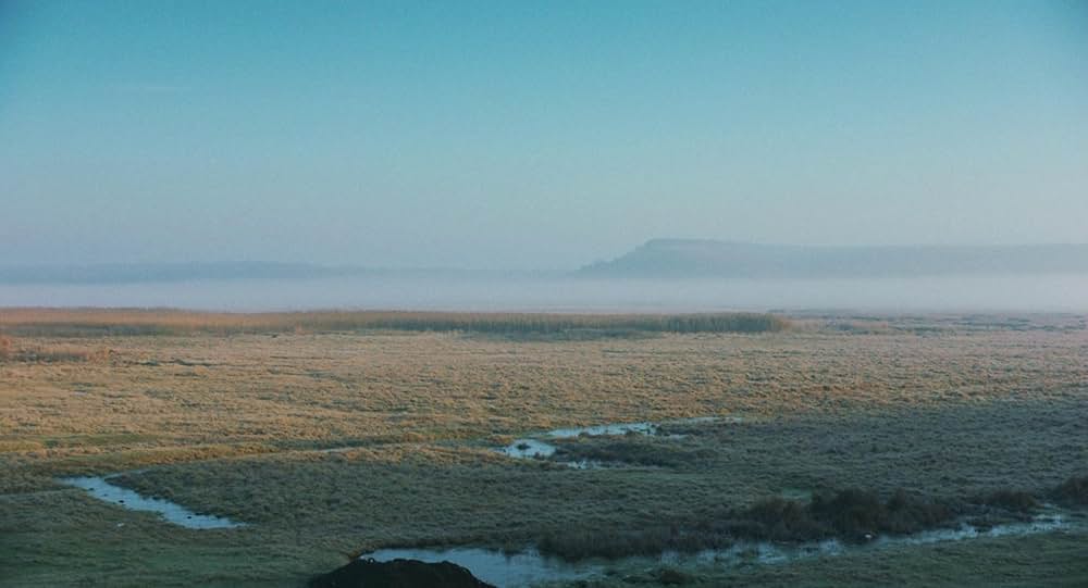 「ソウルに帰る」の画像