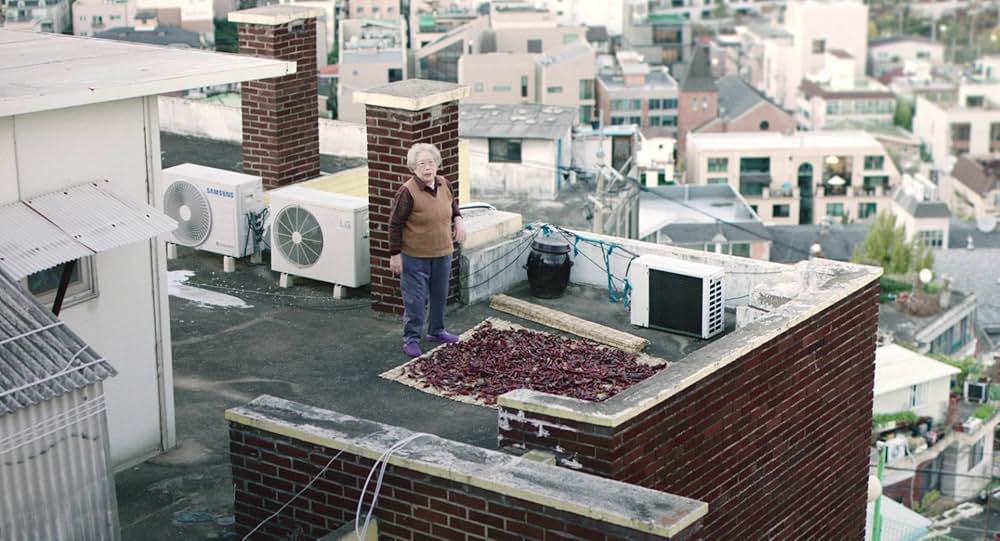 「ソウルに帰る」の画像