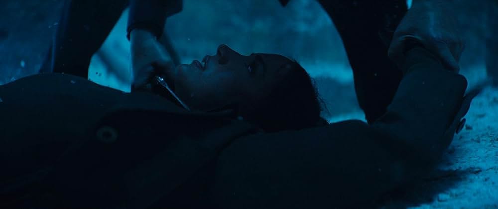 バレリーナ：The World of John Wickの画像