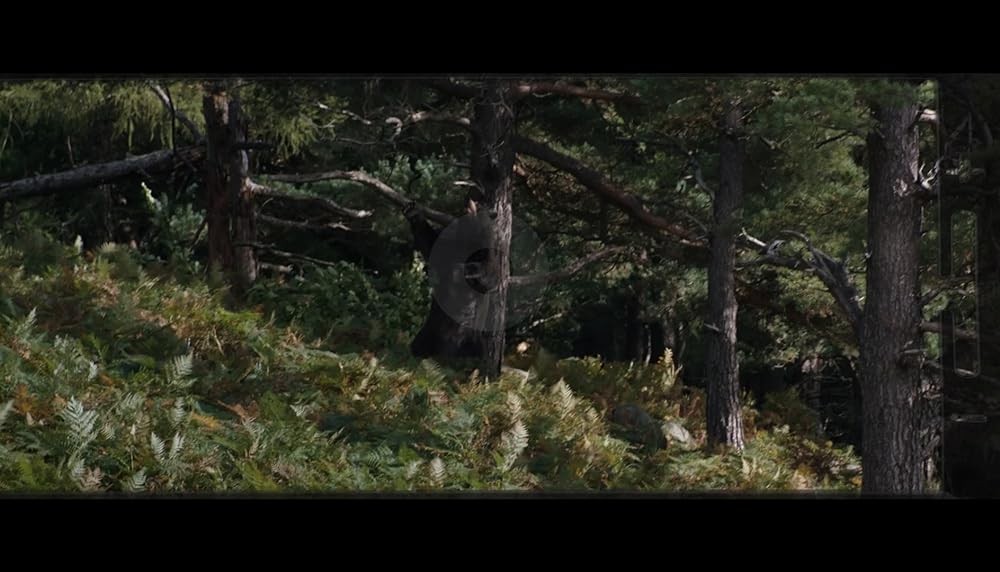 コカイン・ベアの画像