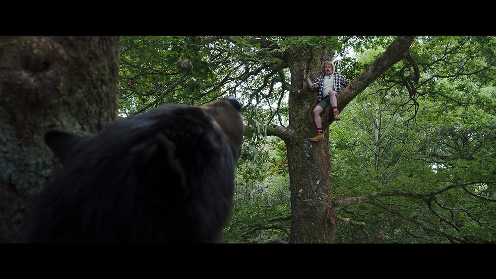 コカイン・ベアの画像