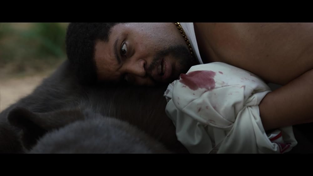 コカイン・ベアの画像