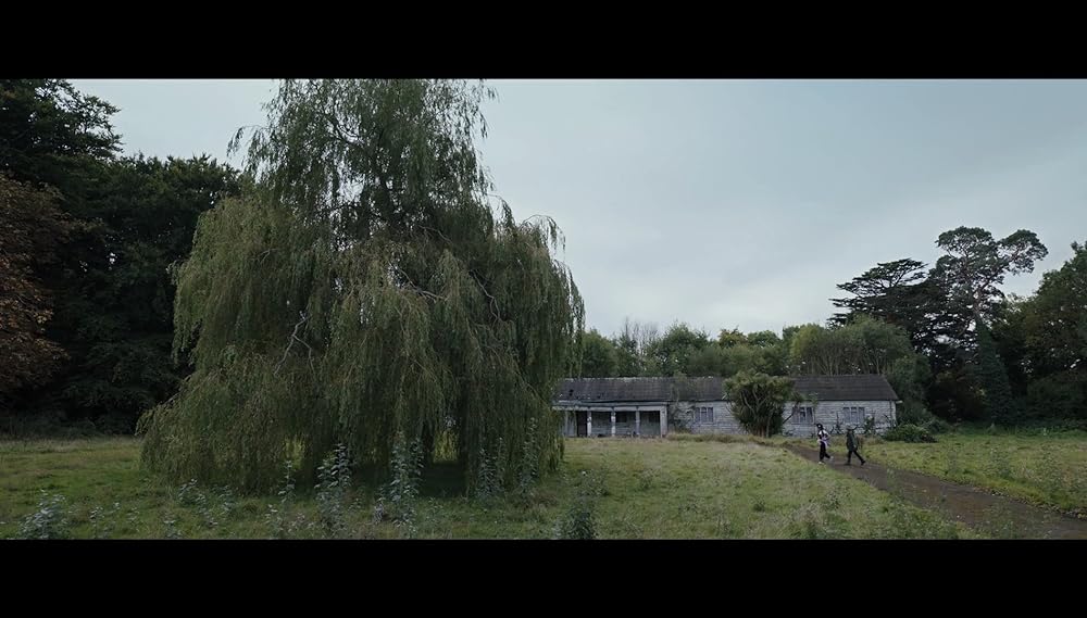 コカイン・ベアの画像