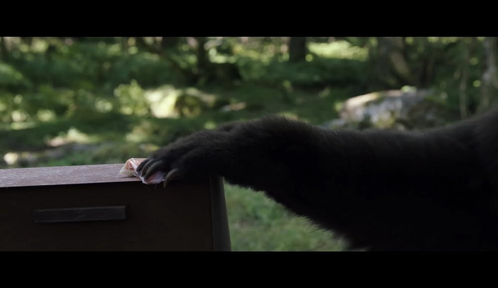 コカイン・ベアの画像