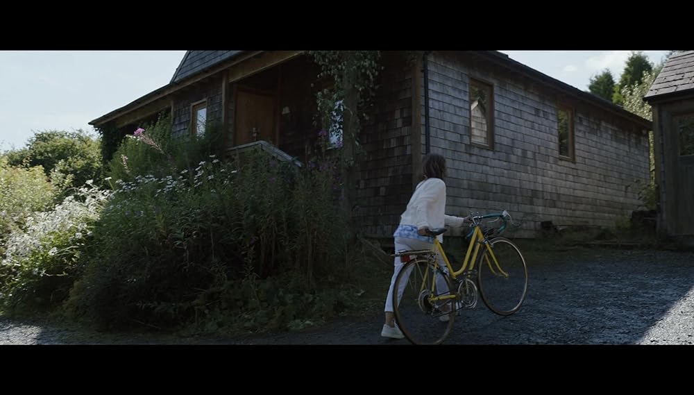 コカイン・ベアの画像