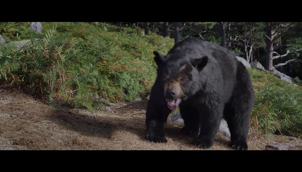 コカイン・ベアの画像