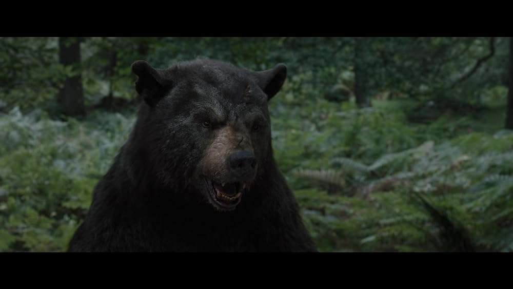 コカイン・ベアの画像