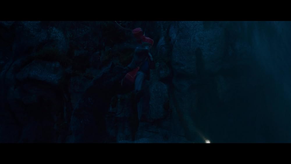 コカイン・ベアの画像