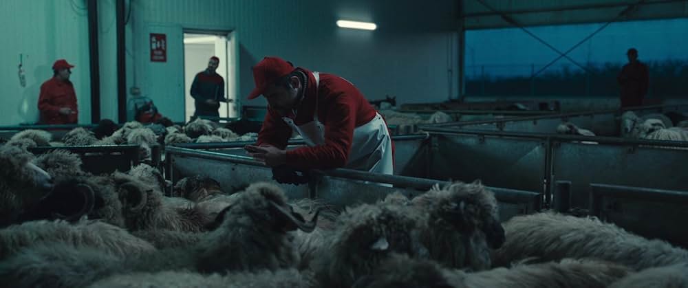 ヨーロッパ新世紀の画像