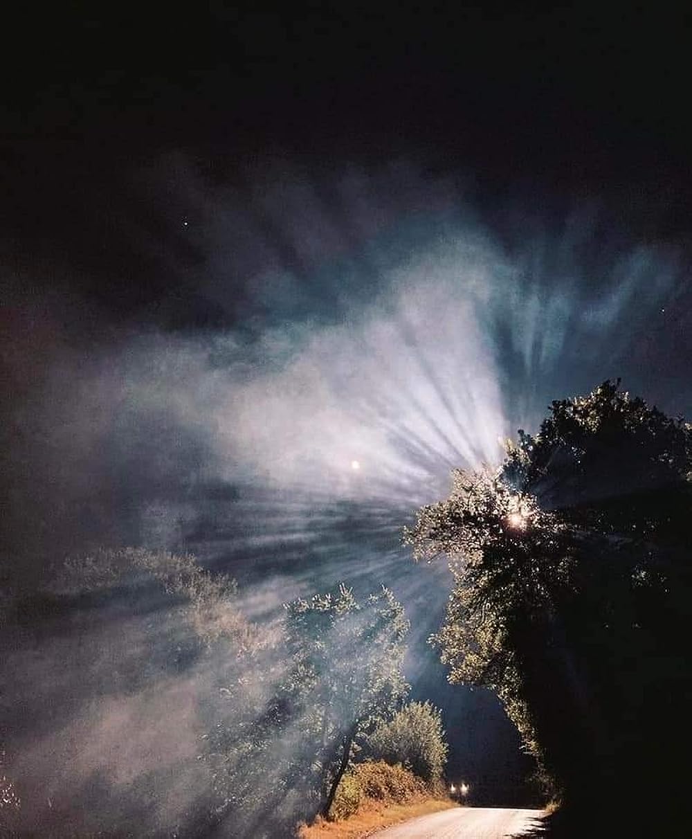 ダークグラスの画像