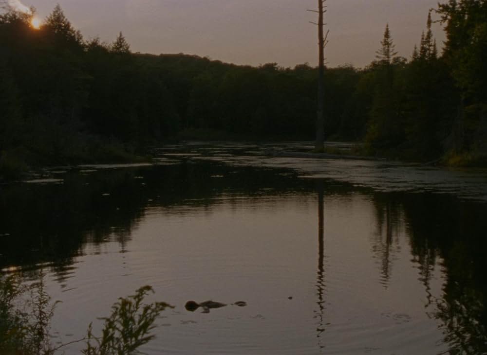 ファルコン・レイクの画像