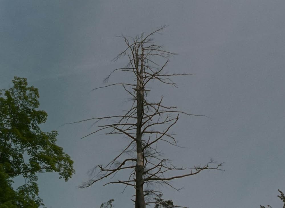 ファルコン・レイクの画像