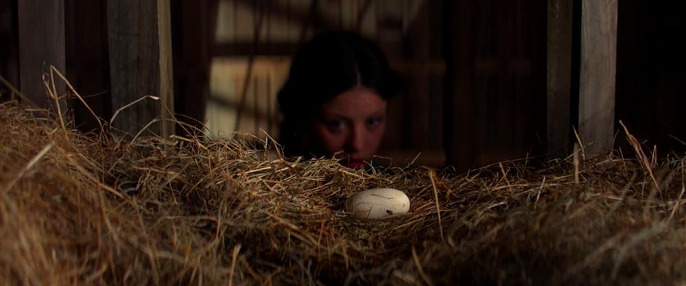 Pearl パールの画像