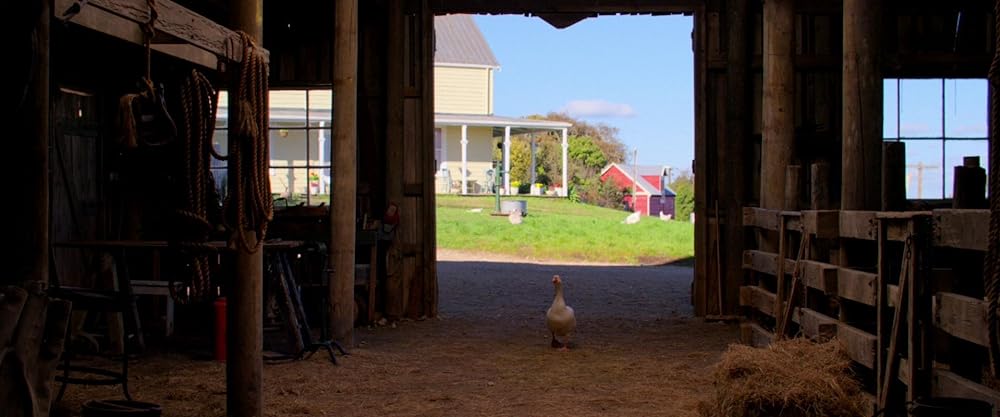 Pearl パールの画像