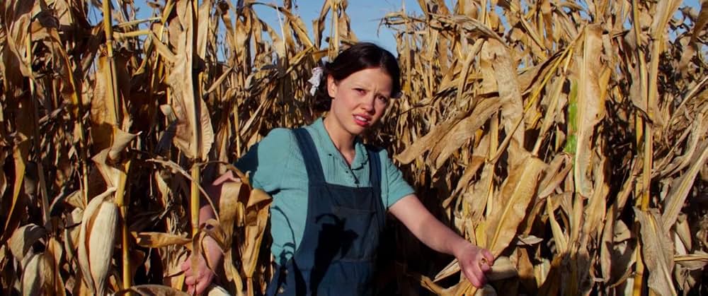 Pearl パールの画像