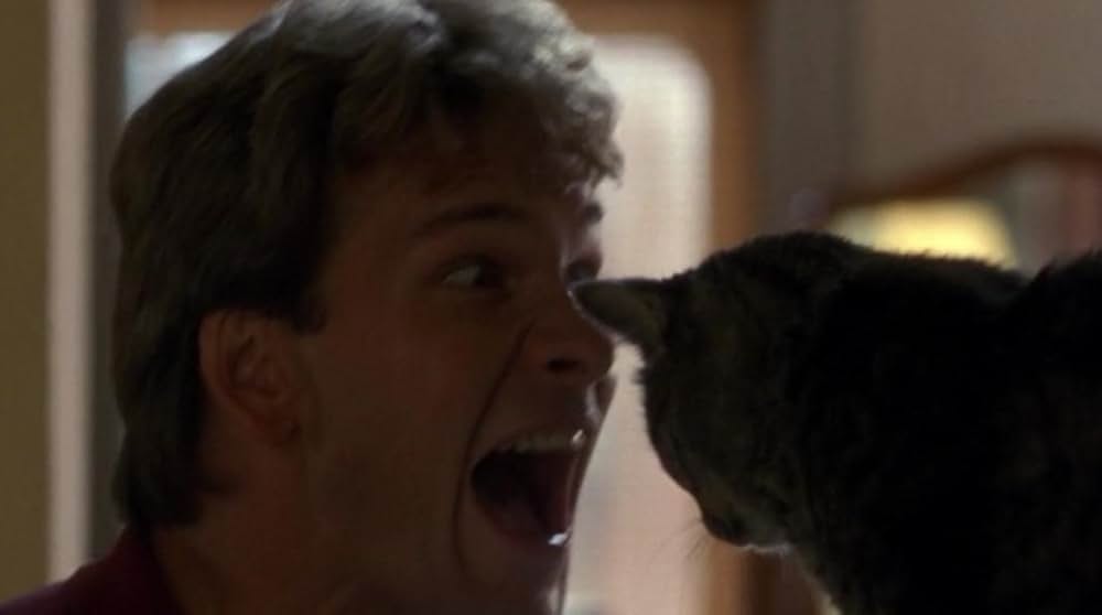 「ゴースト／ニューヨークの幻」の画像