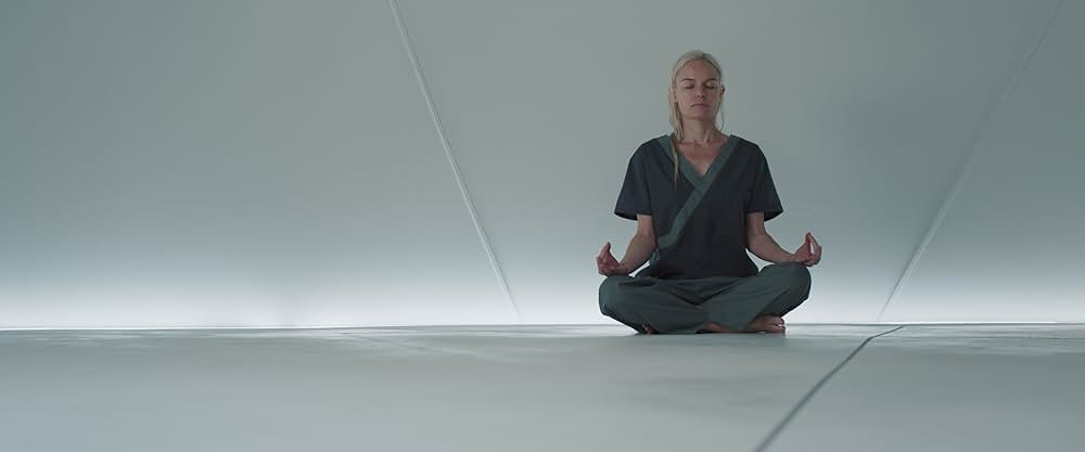 The Immaculate Room（原題）の画像