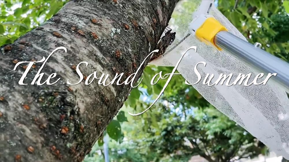 夏バテ女の画像