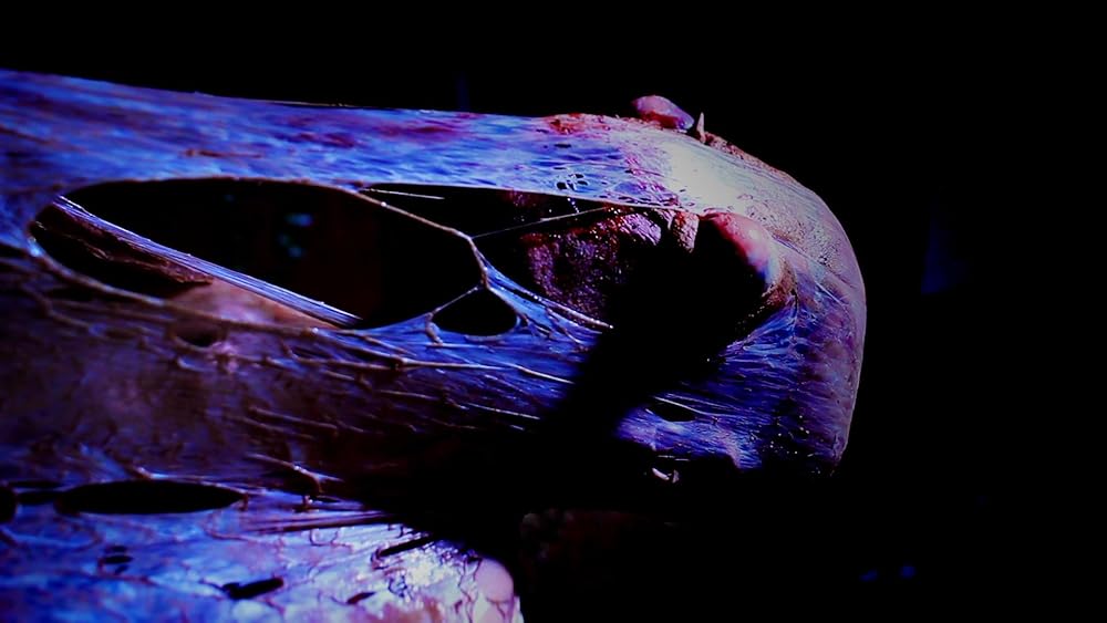 夏バテ女の画像