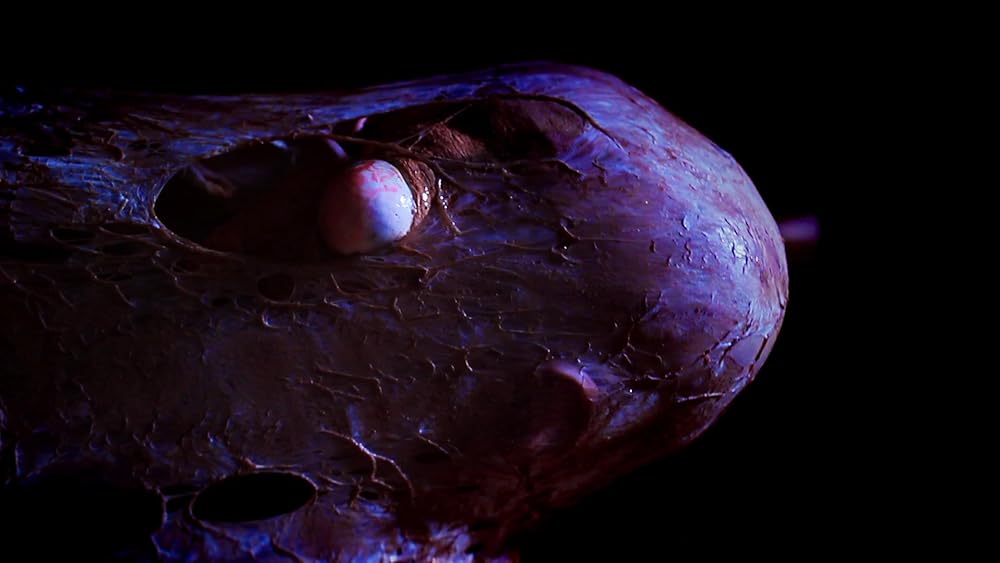 夏バテ女の画像