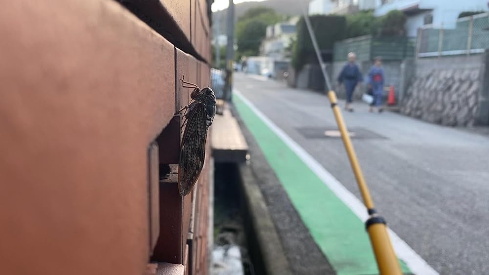 夏バテ女の画像