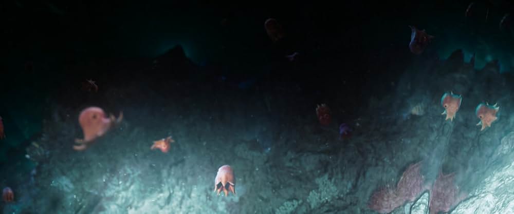 MEG ザ・モンスターズ2の画像