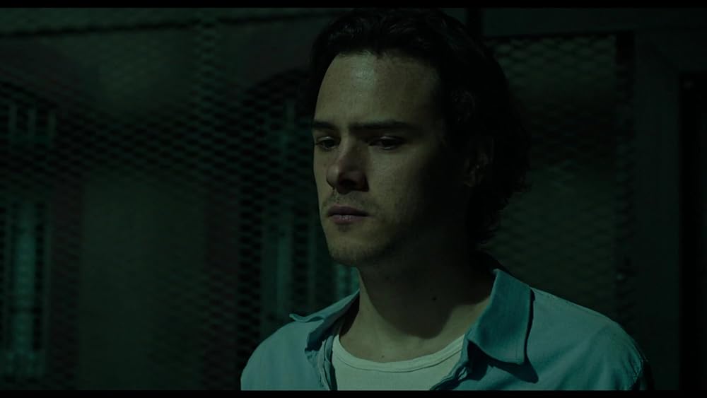 大いなる自由の画像