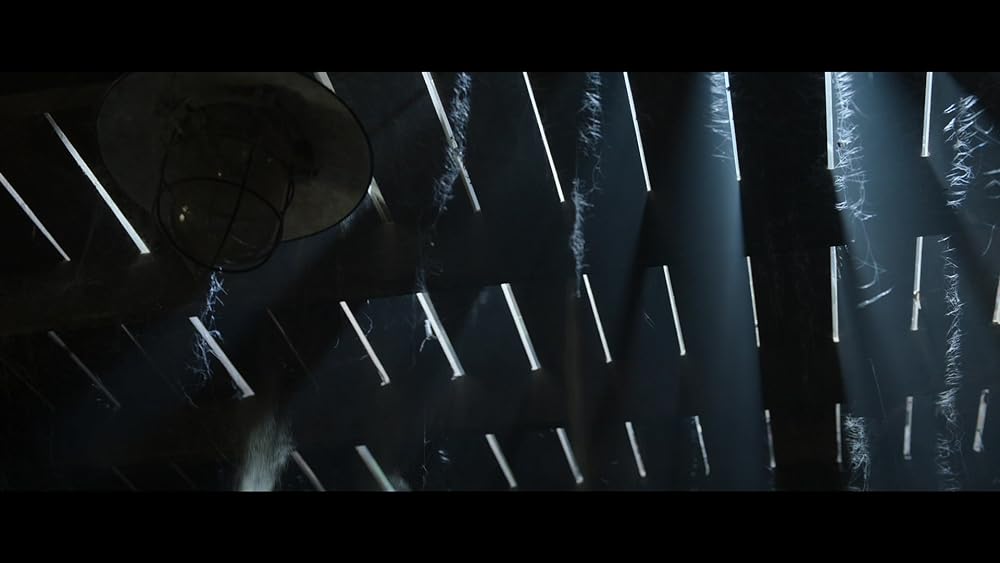 MEMORY メモリーの画像