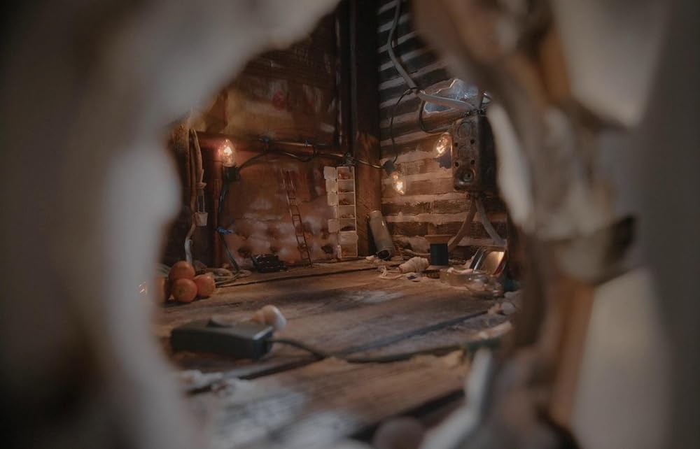 マルセル 靴をはいた小さな貝の画像