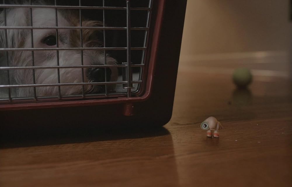 マルセル 靴をはいた小さな貝の画像