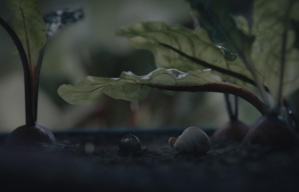 マルセル 靴をはいた小さな貝の画像