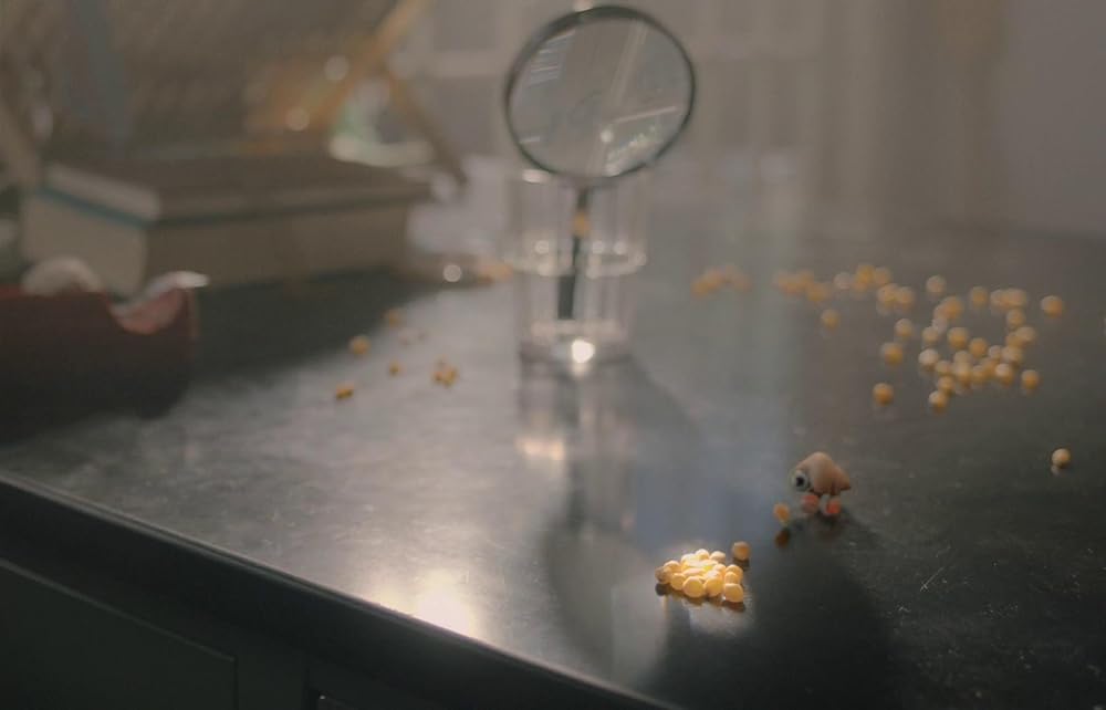 マルセル 靴をはいた小さな貝の画像