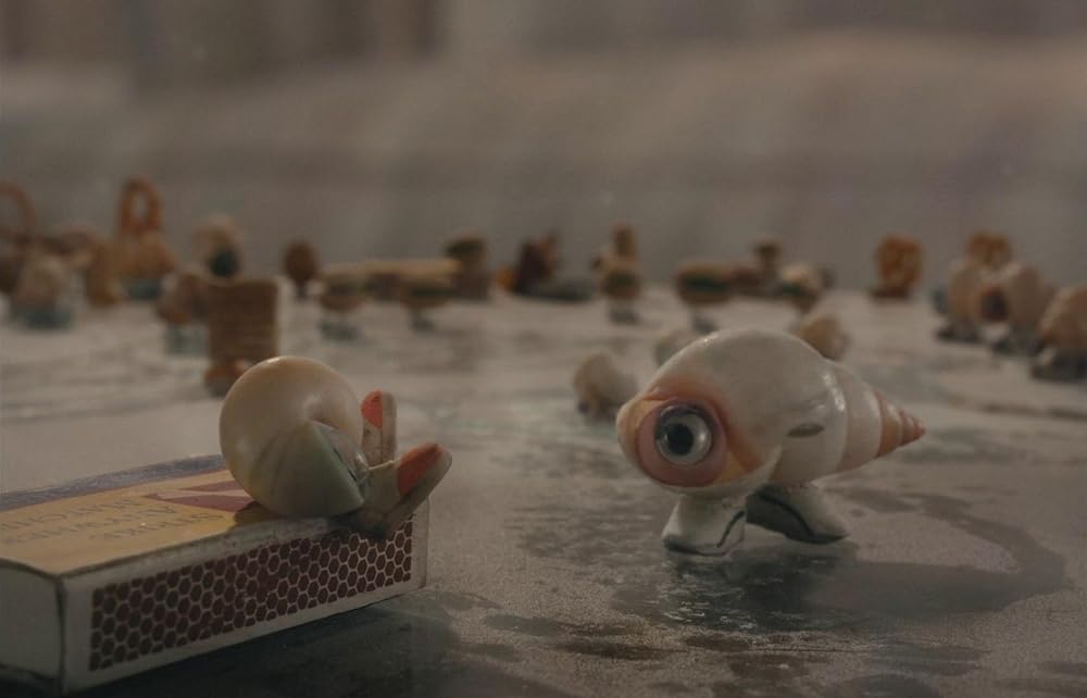 マルセル 靴をはいた小さな貝の画像