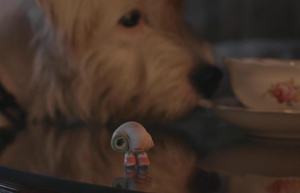 マルセル 靴をはいた小さな貝の画像