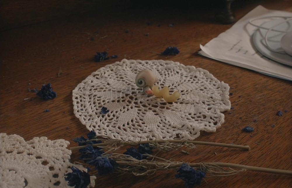 マルセル 靴をはいた小さな貝の画像