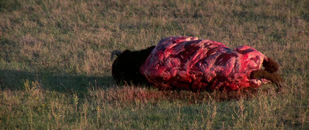 「ダンス・ウィズ・ウルブズ」の画像