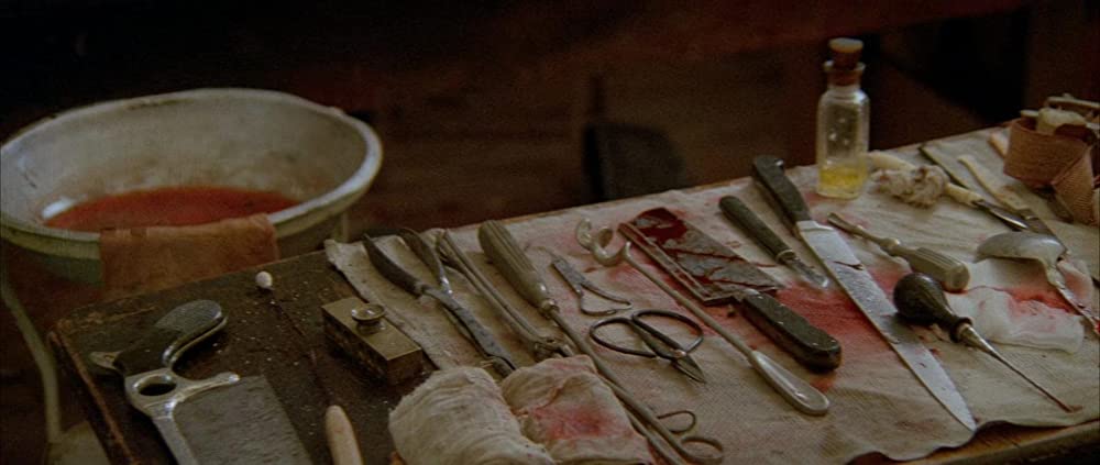 「ダンス・ウィズ・ウルブズ」の画像