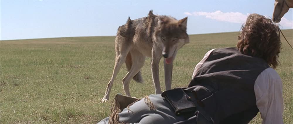 「ダンス・ウィズ・ウルブズ」の画像