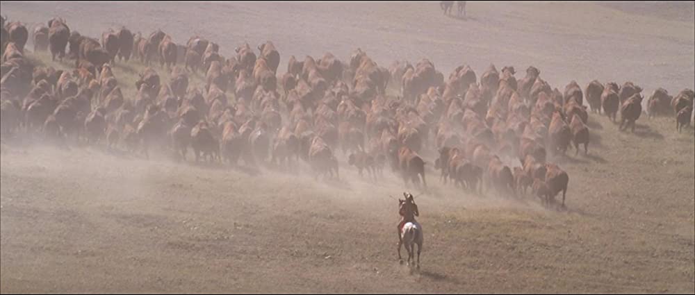 「ダンス・ウィズ・ウルブズ」の画像