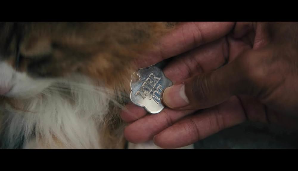 ホーンテッドマンションの画像