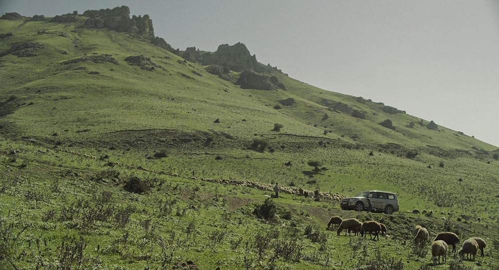 君は行く先を知らないの画像