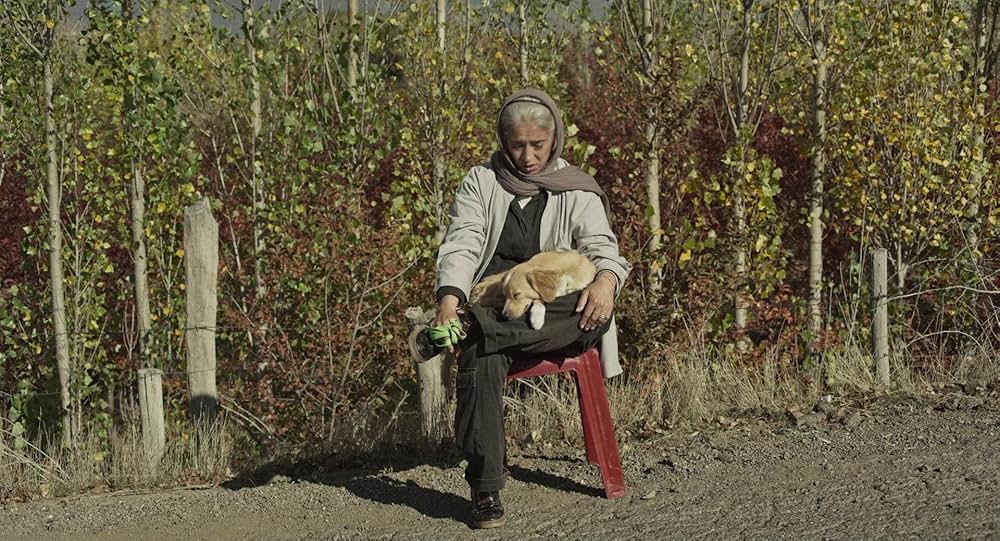 君は行く先を知らないの画像