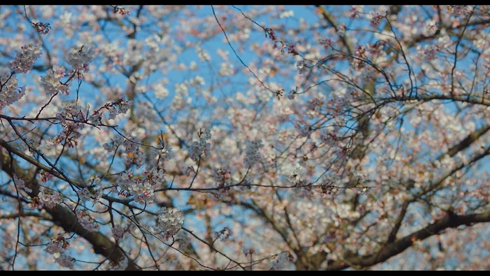 ユ・ヨルの音楽アルバムの画像