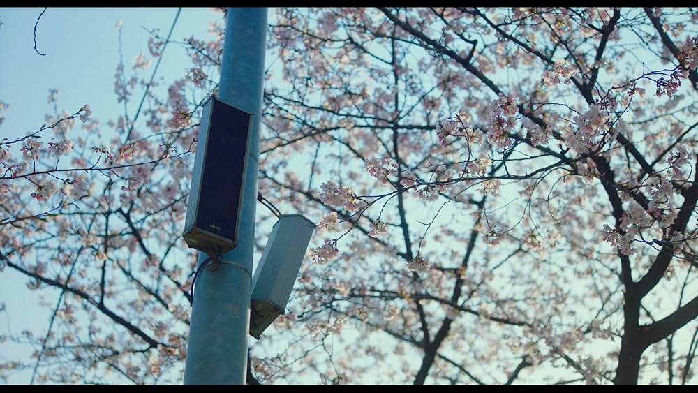 ユ・ヨルの音楽アルバムの画像